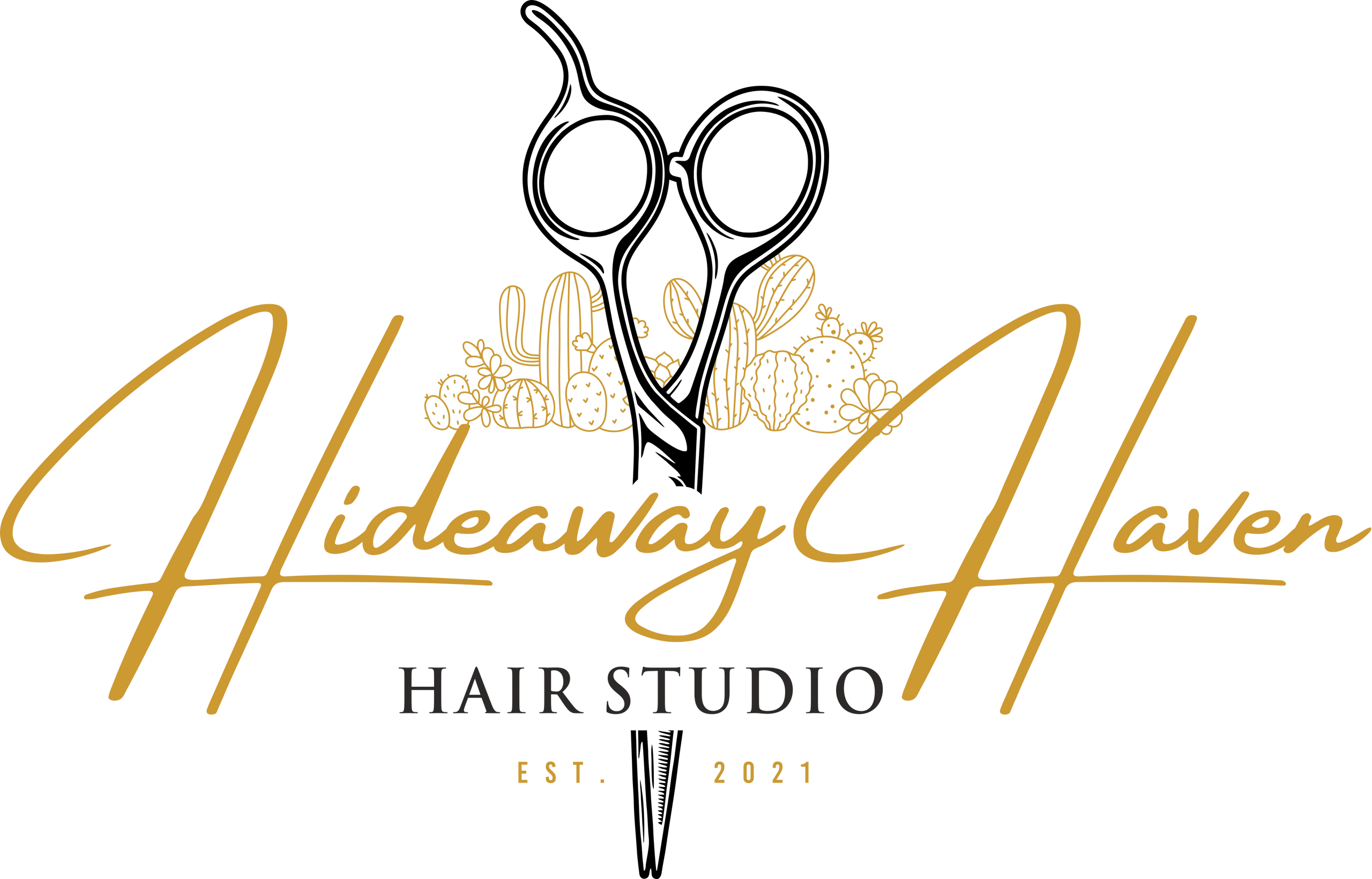 Hideaway Haven Hair Studio Curly Haircuts Las Cruces, New Mexico